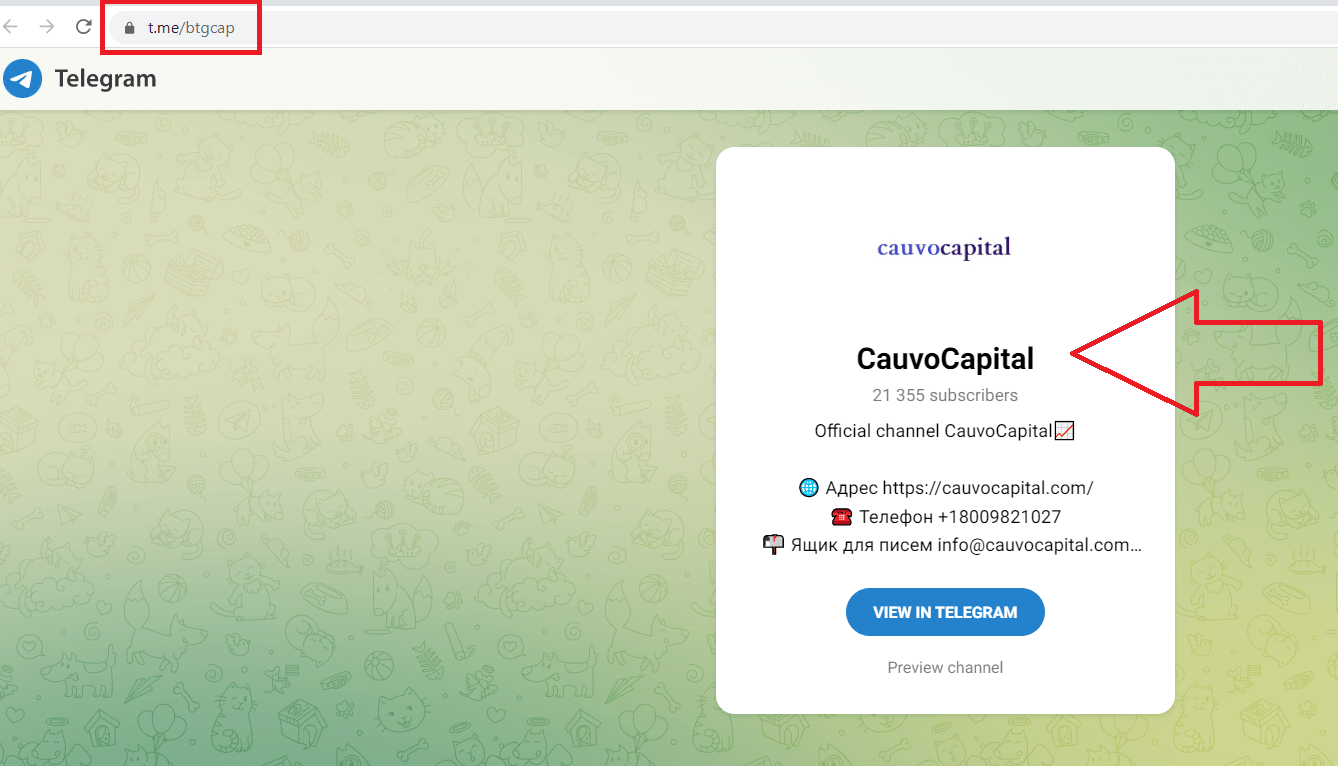 cauvocapital.com отзывы