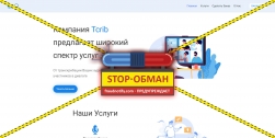 Tcrib отзывы и обзор проекта tcrib.ru Заработок на транскрибации аудио и видео